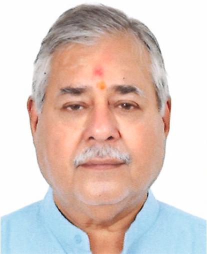 Navrattaram Vasudev Kapoor